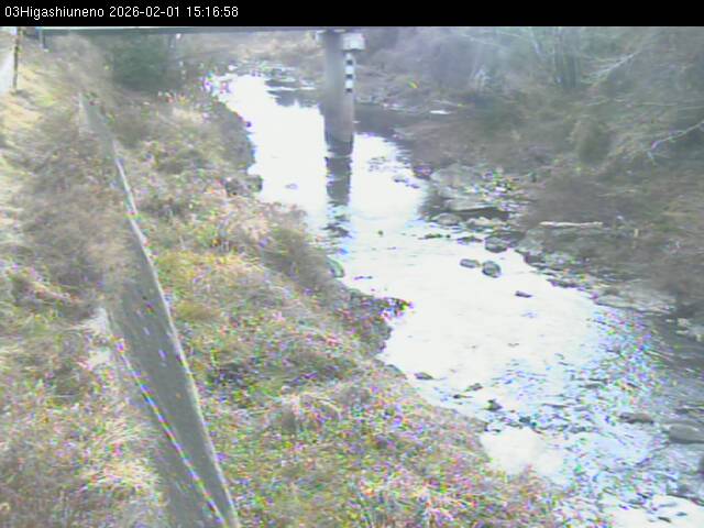 最新監視カメラ画像