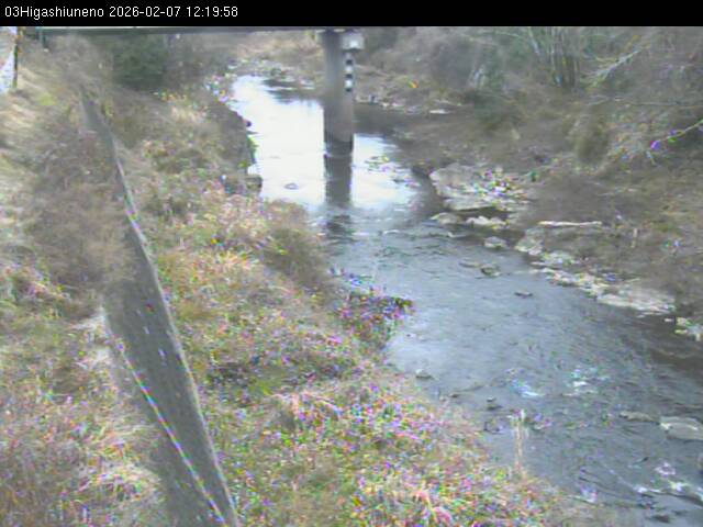 最新監視カメラ画像