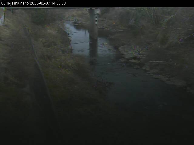 最新監視カメラ画像