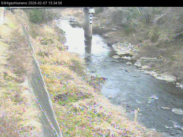 最新監視カメラ画像