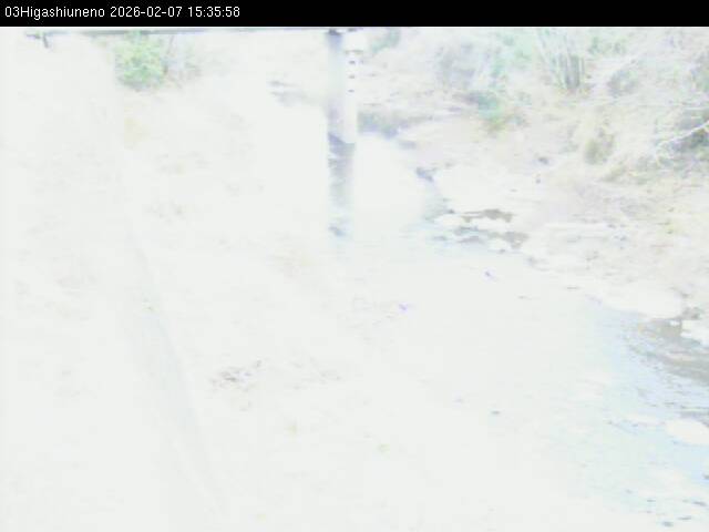 最新監視カメラ画像