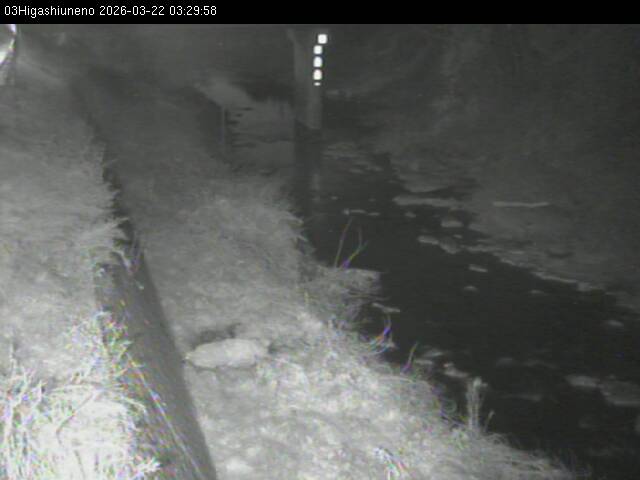 最新監視カメラ画像