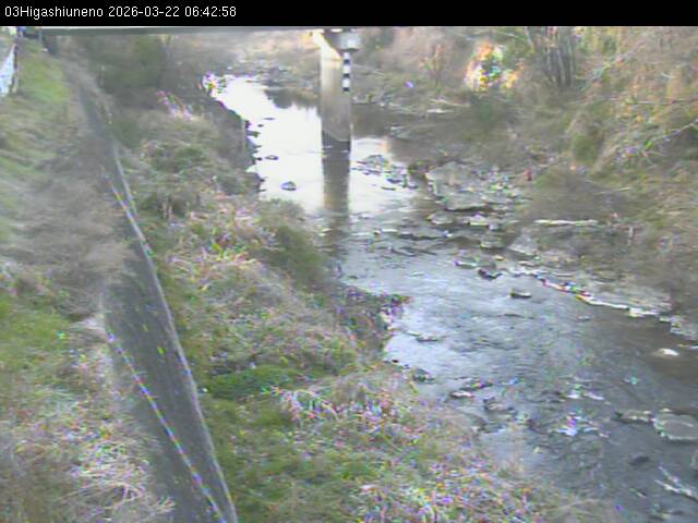 最新監視カメラ画像