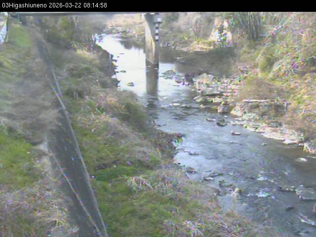 最新監視カメラ画像