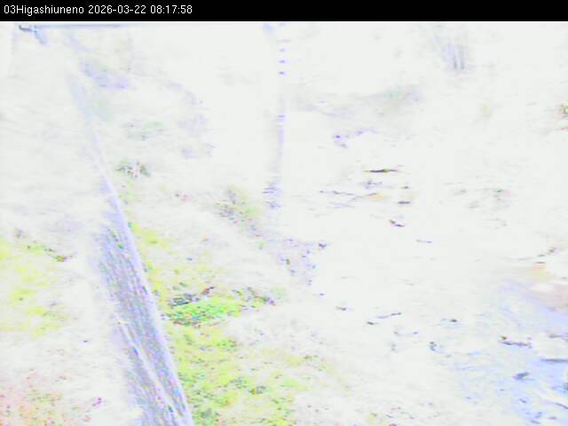 最新監視カメラ画像