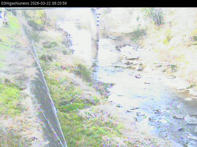 最新監視カメラ画像