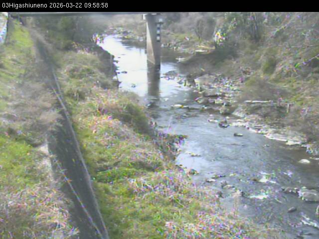 最新監視カメラ画像