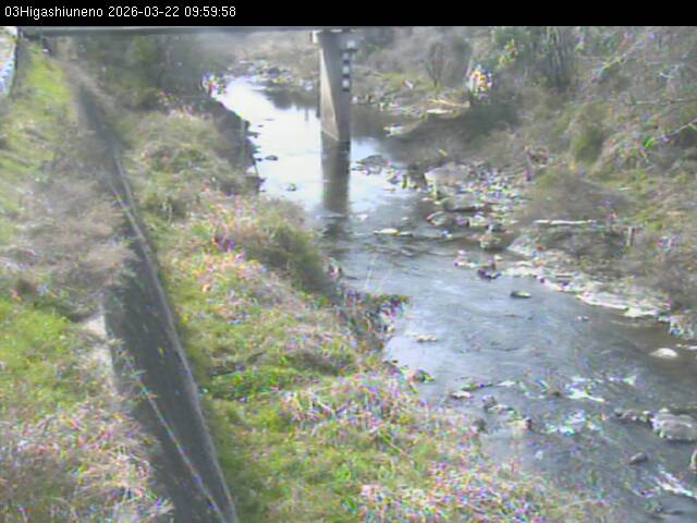 最新監視カメラ画像