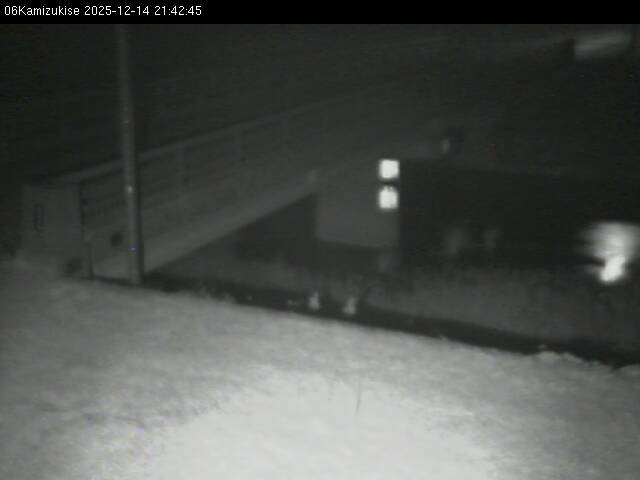 最新監視カメラ画像