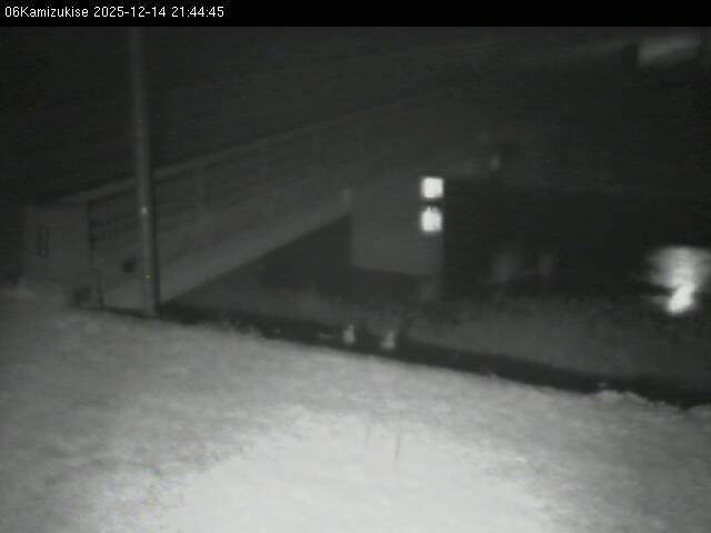 最新監視カメラ画像