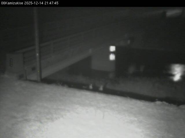 最新監視カメラ画像