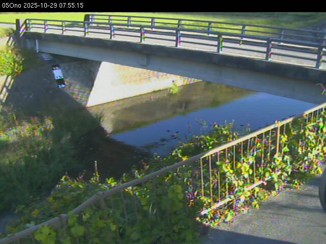 最新監視カメラ画像