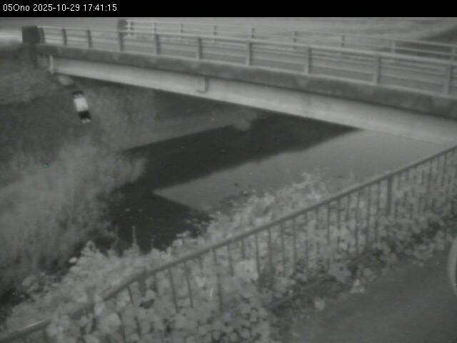 最新監視カメラ画像