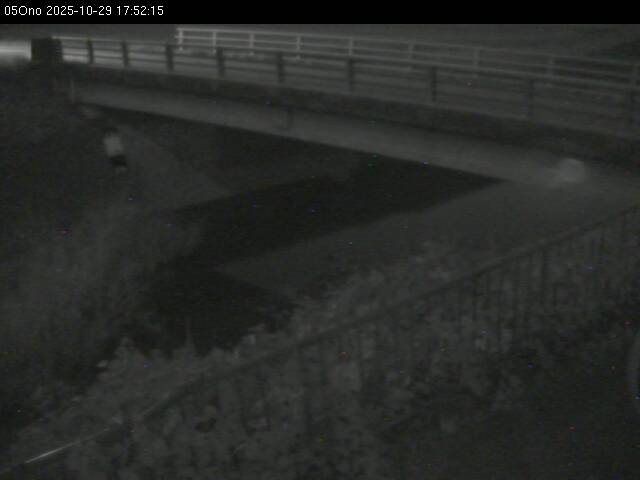 最新監視カメラ画像