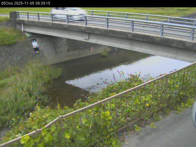 最新監視カメラ画像