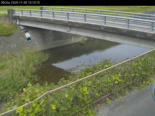 最新監視カメラ画像