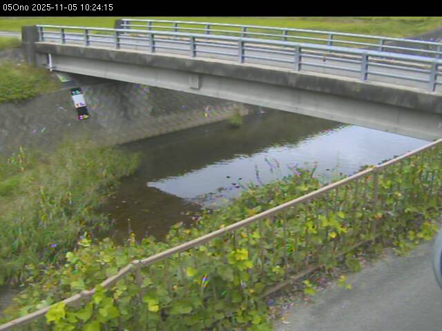 最新監視カメラ画像