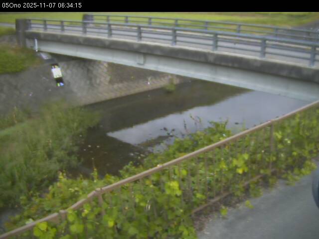 最新監視カメラ画像