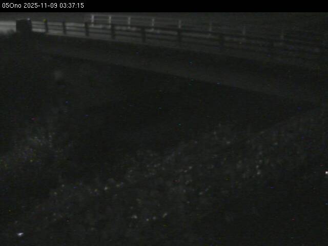 最新監視カメラ画像