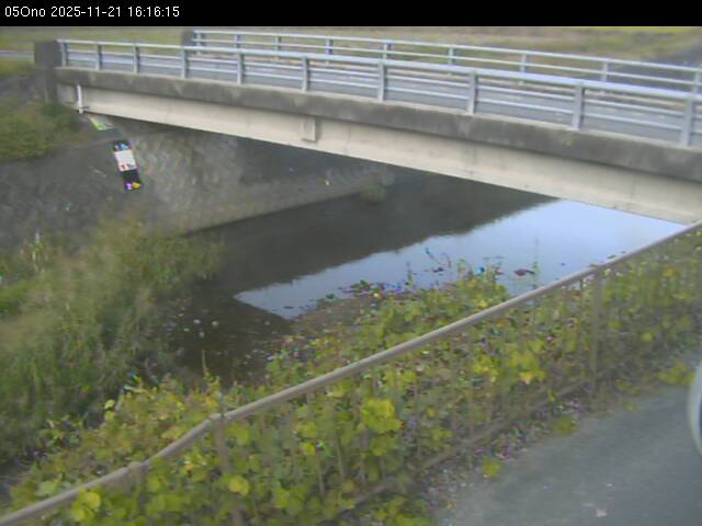 最新監視カメラ画像