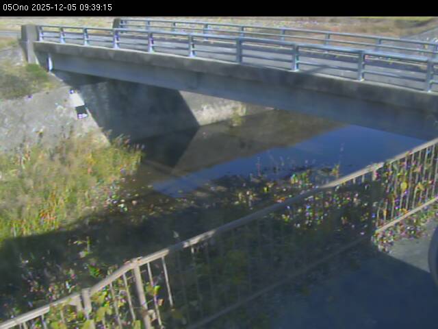 最新監視カメラ画像