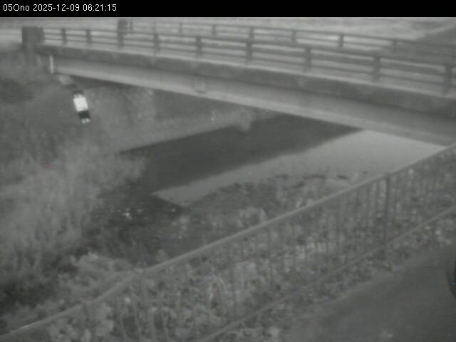 最新監視カメラ画像