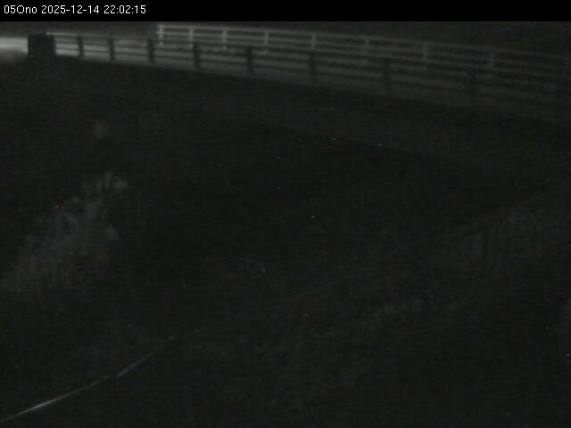 最新監視カメラ画像