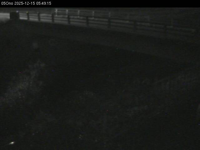 最新監視カメラ画像