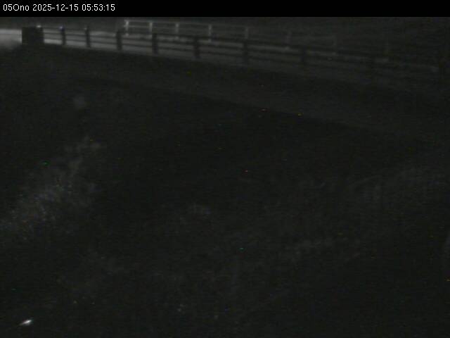 最新監視カメラ画像