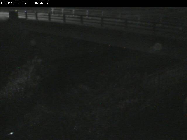 最新監視カメラ画像