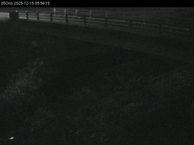 最新監視カメラ画像