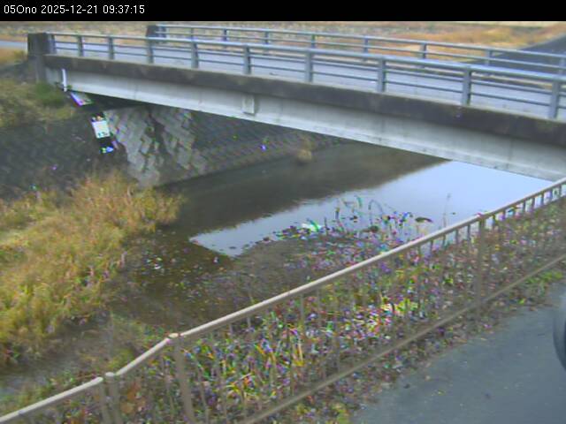 最新監視カメラ画像