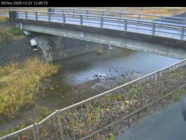 最新監視カメラ画像