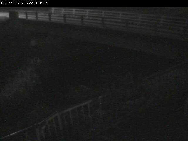 最新監視カメラ画像