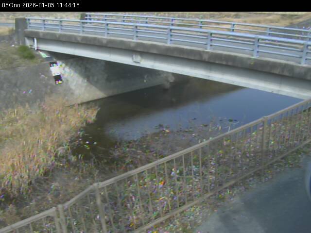 最新監視カメラ画像