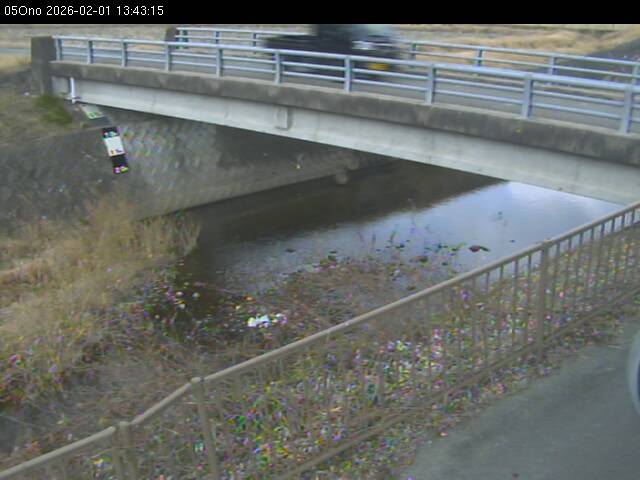 最新監視カメラ画像