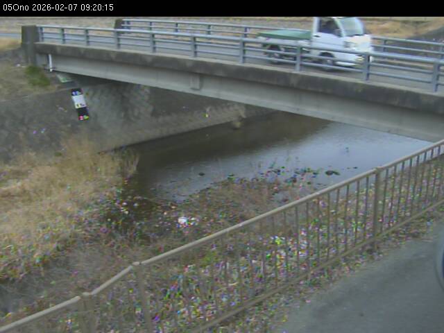 最新監視カメラ画像