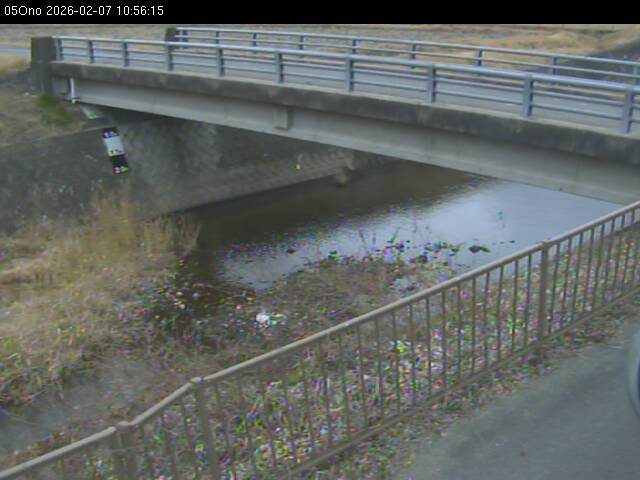 最新監視カメラ画像