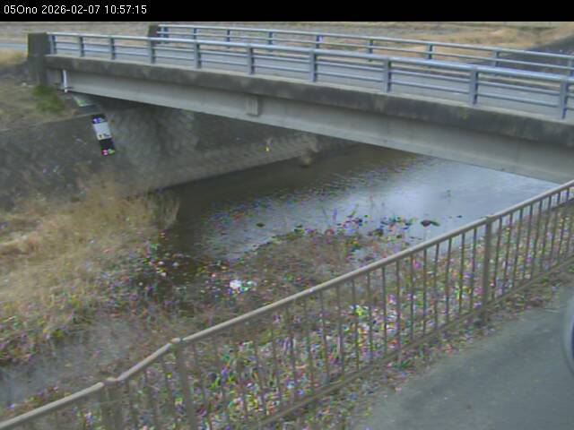 最新監視カメラ画像