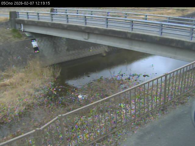 最新監視カメラ画像