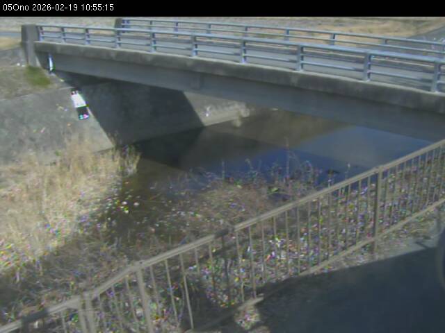 最新監視カメラ画像