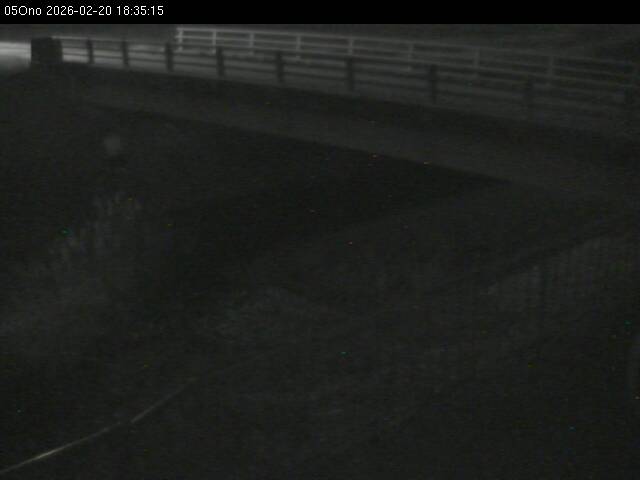 最新監視カメラ画像