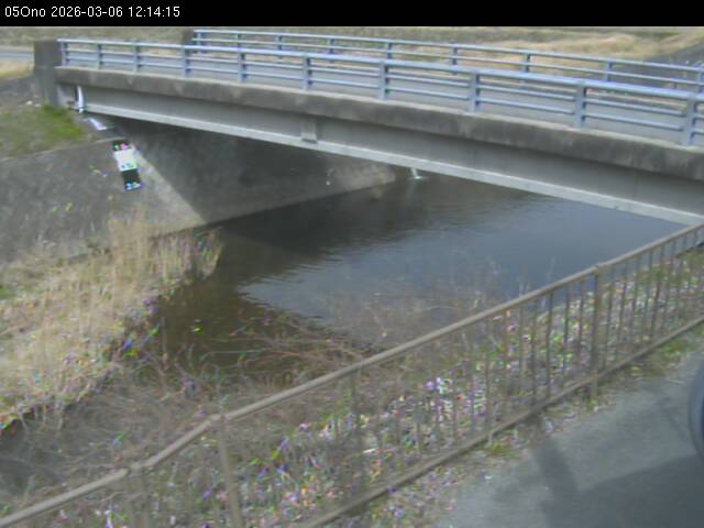 最新監視カメラ画像