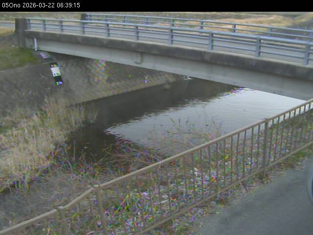 最新監視カメラ画像