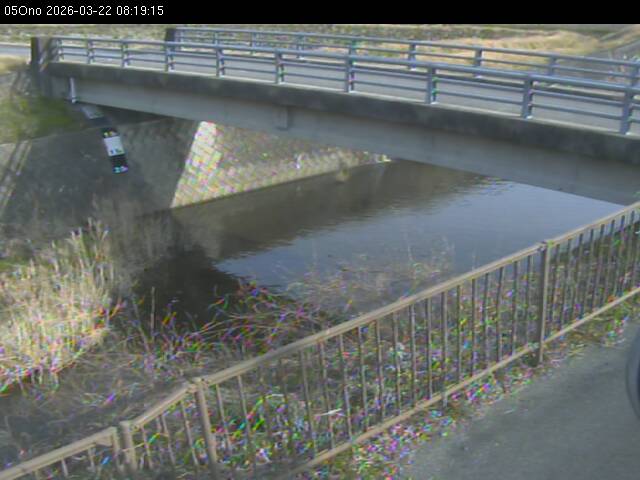 最新監視カメラ画像