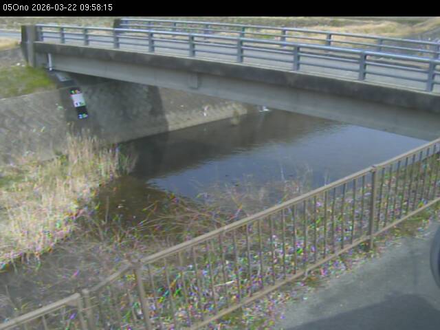 最新監視カメラ画像