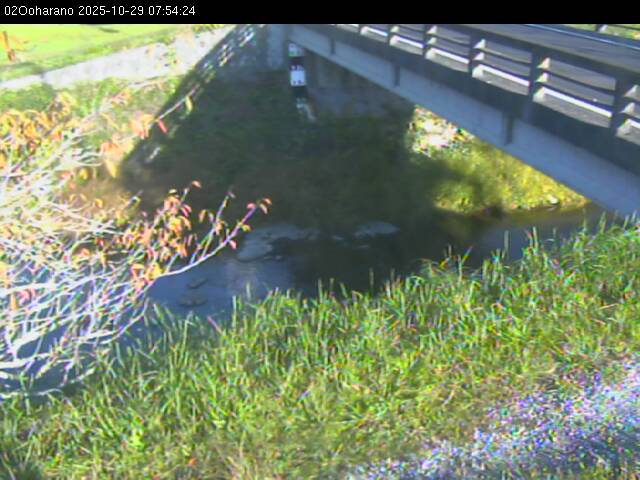 最新監視カメラ画像