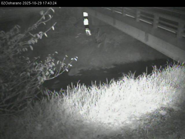 最新監視カメラ画像