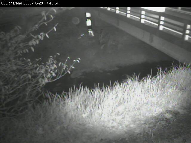 最新監視カメラ画像