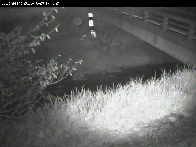 最新監視カメラ画像